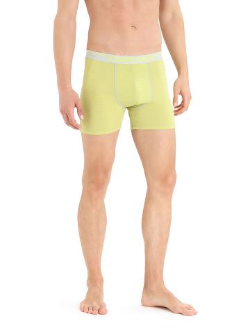 Men's Icebreaker Merino Anatomica Boxers Underwear Ether / Shine | CA 1635LISH